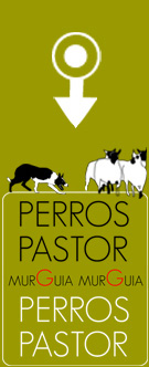 Perros Pastor